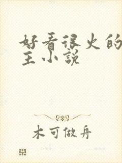 好看很火的双男主小说封面