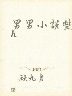 男男小说双性高h封面