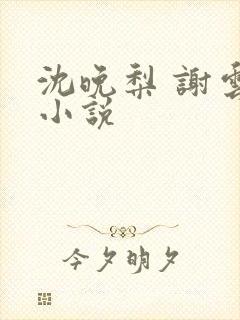 沈晚梨 谢云迟小说封面