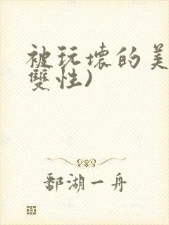 被玩坏的美人(双性)