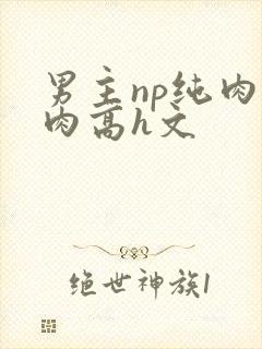 男主np纯肉巨肉高h文