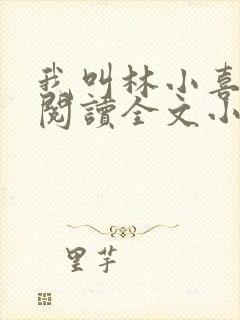 我叫林小喜免费阅读全文小说