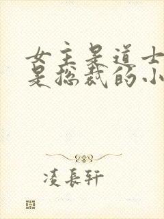 女主是道士男主是总裁的小说封面