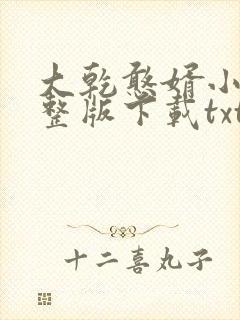 大乾憨婿小说完整版下载txt