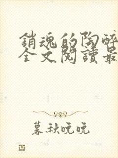 销魂的陶醉小说全文阅读最新章节