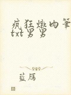 疯狂炖肉笔趣阁txt男男封面