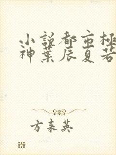 小说都市极品医神叶辰夏若雪免费阅读