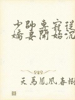 少帅专宠从强娶娇妻开始沉沦免费阅读