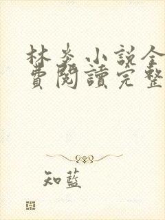 林炎小说全文免费阅读完整版