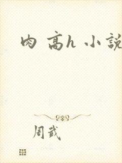 肉 高h 小说封面