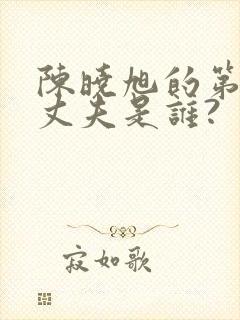 陈晓旭的第一任丈夫是谁?