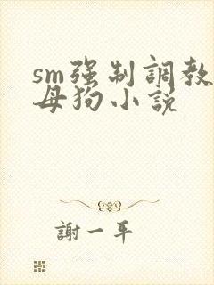 sm强制调教小母狗小说封面