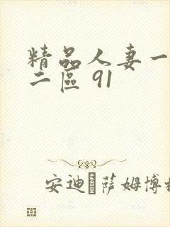 精品人妻一区一二区 91