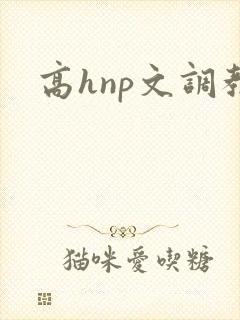 高hnp文调教