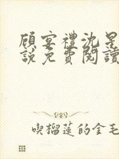 顾宴礼沈星洛小说免费阅读最新章节