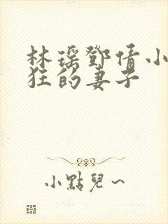 林瑶邓倩小说疯狂的妻子封面