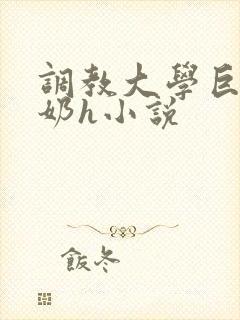 调教大学巨乳骚奶h小说封面