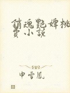 销魂艳婢桃儿免费小说