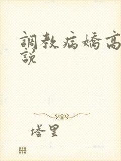调教病娇高h小说