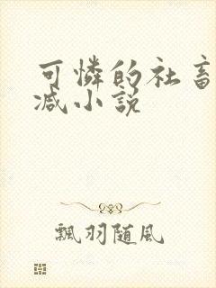 可怜的社畜无删减小说