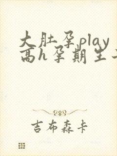 大肚孕play高h孕期生子