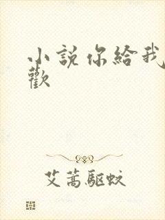 小说你给我的喜欢封面