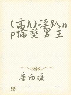 (高h)淫趴np伦双男主封面