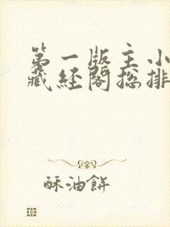 第一版主小说网藏经阁总排行