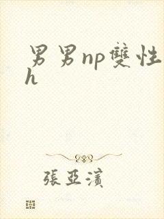 男男np双性高h