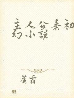 主人公秦初的玄幻小说封面