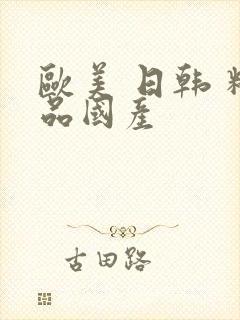 欧美 日韩 精品国产