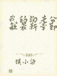 我的狗老公张淑敏最新章节免费阅读