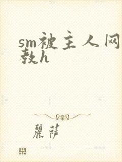 sm被主人网调教h