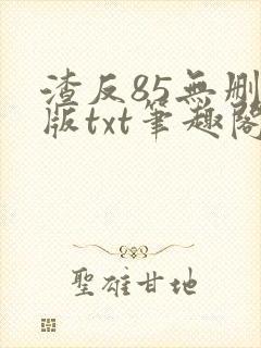 渣反85无删减版txt笔趣阁封面