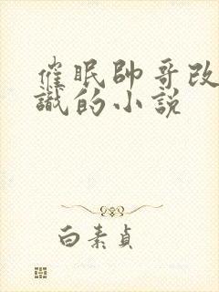 催眠帅哥改变常识的小说封面