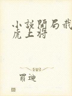 小说开局截胡五虎上将