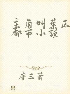 主角叫叶正阳的都市小说