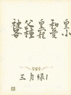 被父皇和皇兄们各种宠爱小说封面