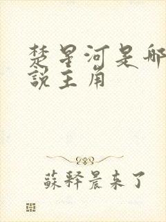 楚星河是哪部小说主角