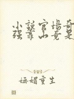 小说官场奇才最强靠山竟是我自己李澜在线