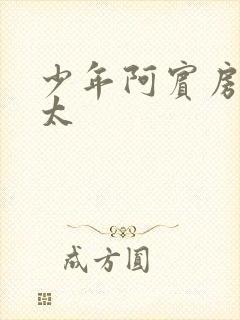 少年阿宾房东太太