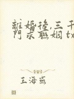 离婚后,三千豪门求联姻 txt