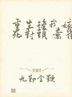 重生后我嫁给了死对头 意雀