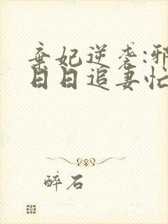 弃妃逆袭:邪王日日追妻忙电子版