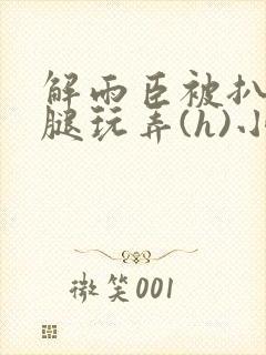 解雨臣被扒开双腿玩弄(h)小说封面