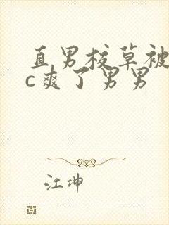 直男校草被老头c爽了男男封面