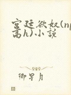 宫廷欲奴(np高h)小说