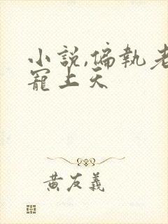 小说,偏执老公宠上天封面