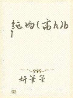 纯肉(高h)bl