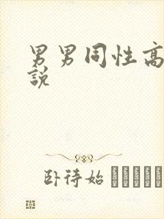 男男同性高h小说封面